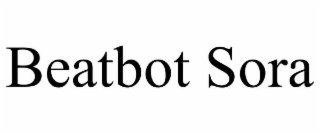 beatbot sora