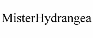 misterhydrangea