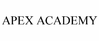 apex academy