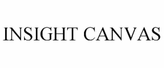 insight canvas