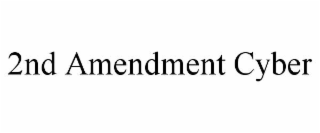 2nd amendment cyber