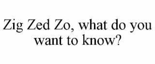 zig zed zo, what do you want to know?