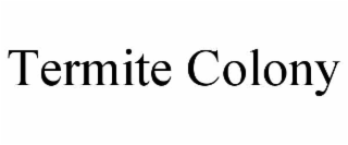 termite colony