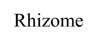 rhizome