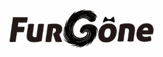 furgone