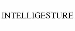 intelligesture
