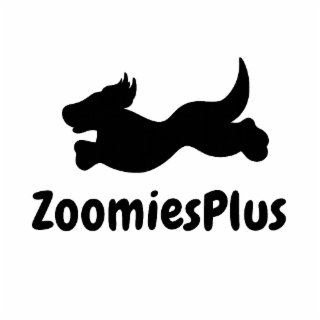 zoomiesplus