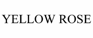 yellow rose