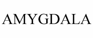 amygdala