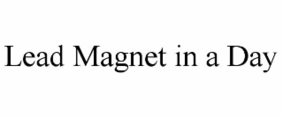 lead magnet in a day