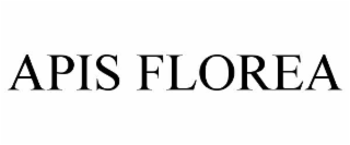 apis florea