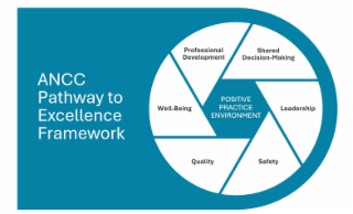 ancc pathway to excellence framework professional development well-being quality safety leadership shared decision-making positive practice environment