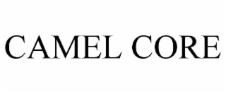 camel core