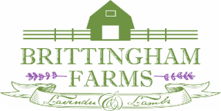 brittingham farms lavender & lambs