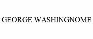 george washingnome