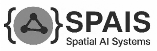 spais spatial ai systems