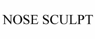 nose sculpt