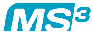 ms3 italicized