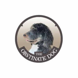 the obstinate dog