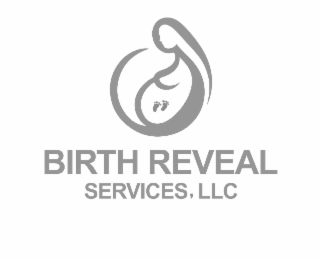 birth reveal services, llc