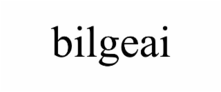 bilgeai