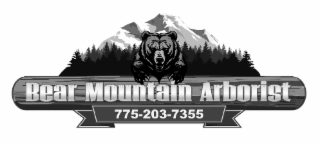 bear mountain arborist (775) 203-7355