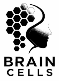 brain cells