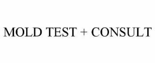 mold test + consult
