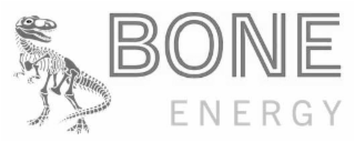 bone energy