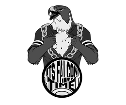 its falcon time