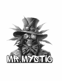 mr. mystic