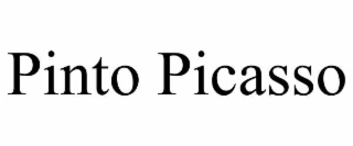 pinto picasso