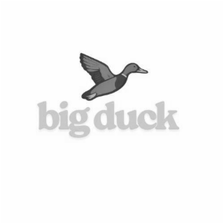 big duck
