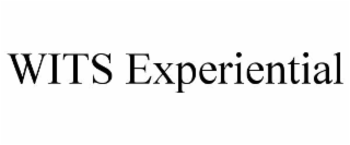 wits experiential