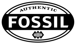 authentic fossil