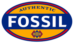 fossil authentic