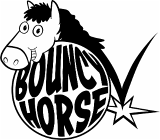 bouncy horse