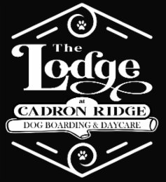 the lodge at cadron ridge dog boarding & daycare