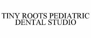 tiny roots pediatric dental studio