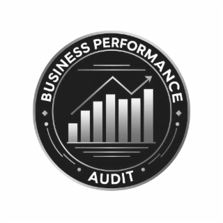 business performance audit