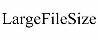 largefilesize
