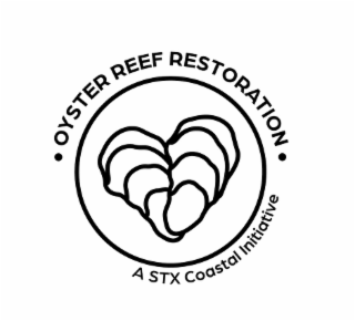 oyster reef restoration a stx coastal initiative