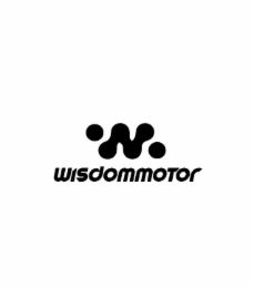 wisdommotor