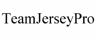 teamjerseypro
