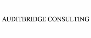 auditbridge consulting
