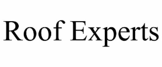 roof experts