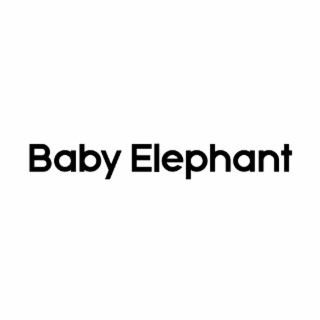 baby elephant