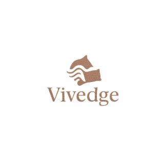 vivedge