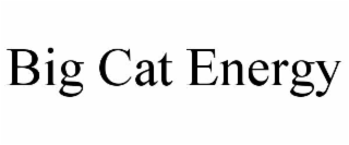 big cat energy