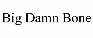 big damn bone